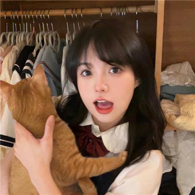 捕风追影